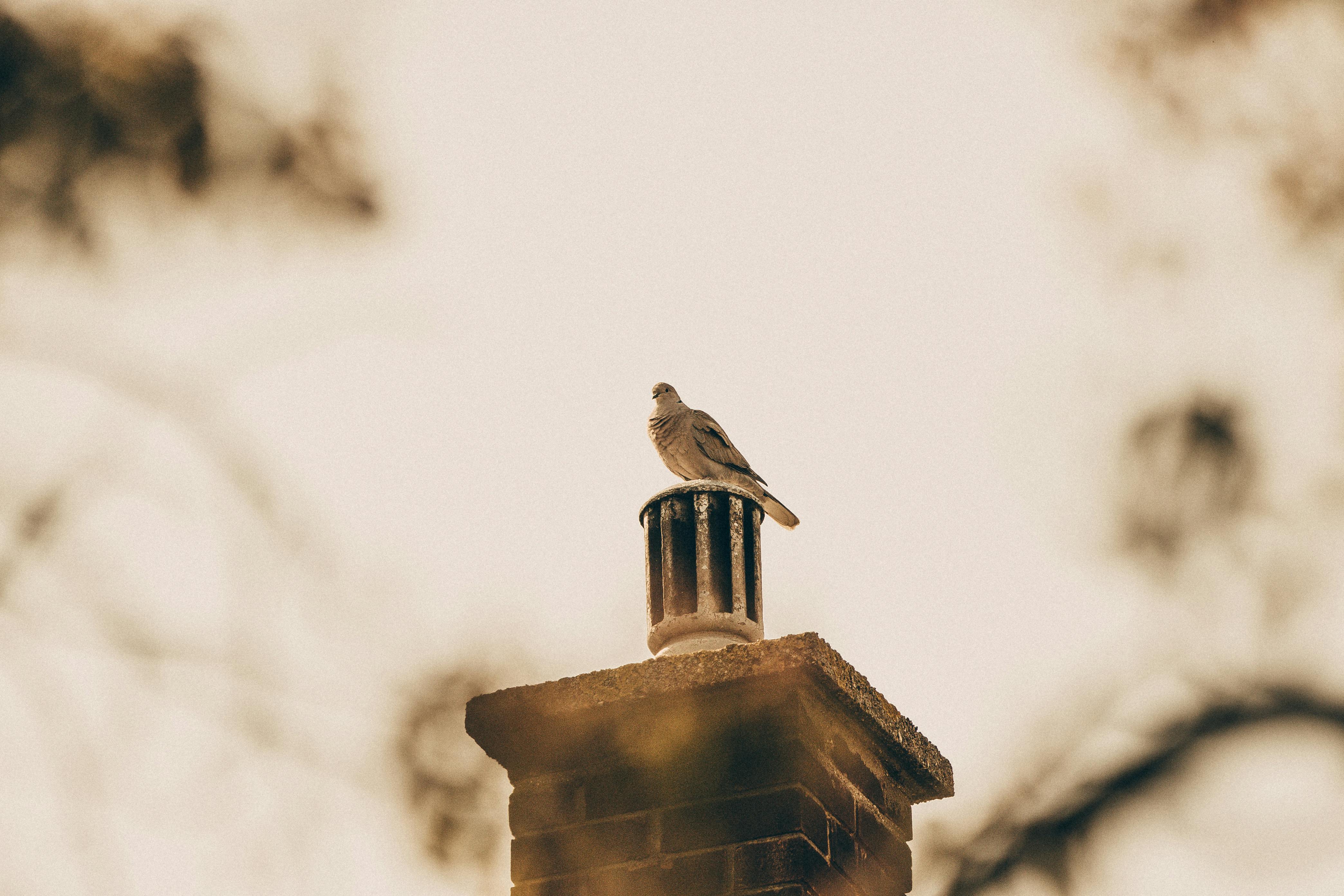 Professional Chimney Cap Installation Services in Encino, CA Expert Chimney Cap Installation in Encino, California